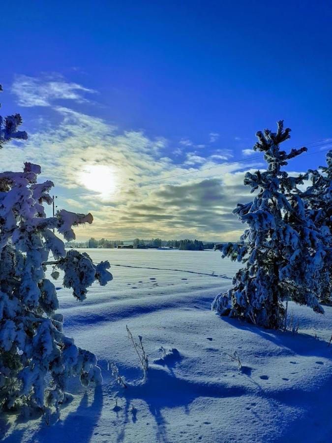 Отель Jokihovi Nivala Экстерьер фото