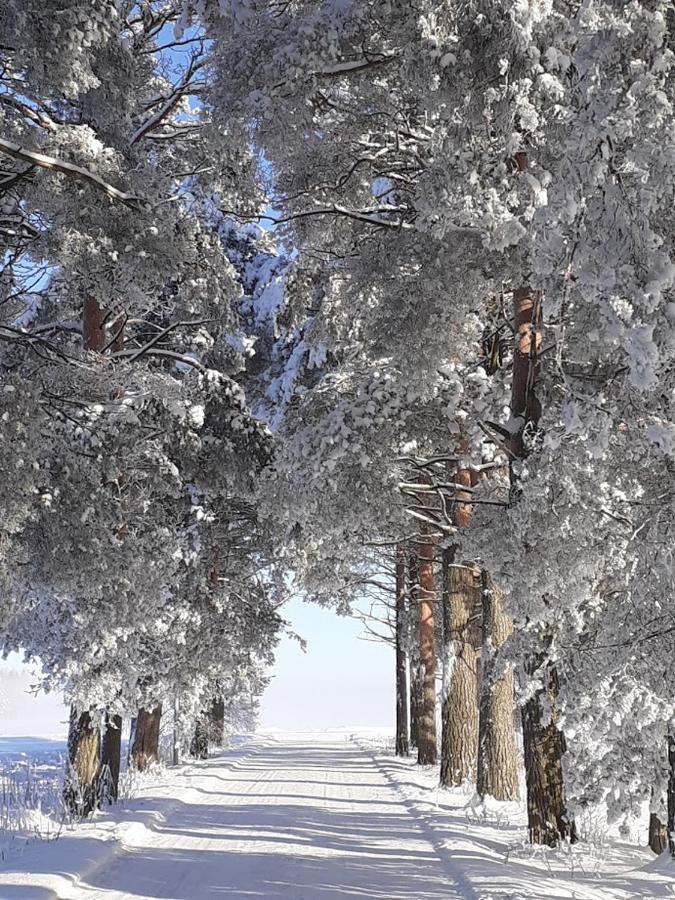 Отель Jokihovi Nivala Экстерьер фото